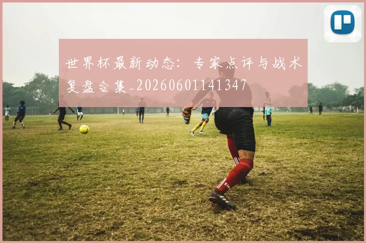 世界杯最新动态：专家点评与战术复盘合集_20260601141347