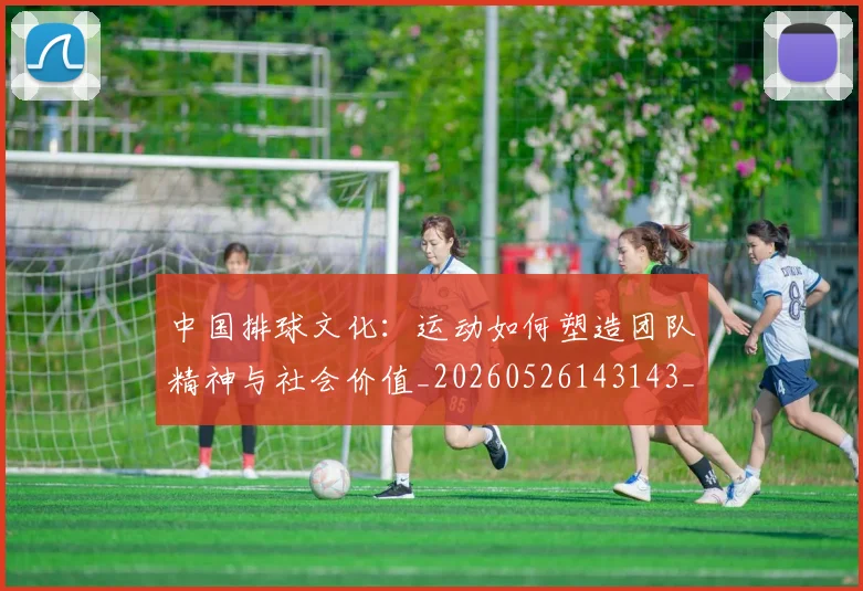 中国排球文化：运动如何塑造团队精神与社会价值_20260526143143_20260607160602